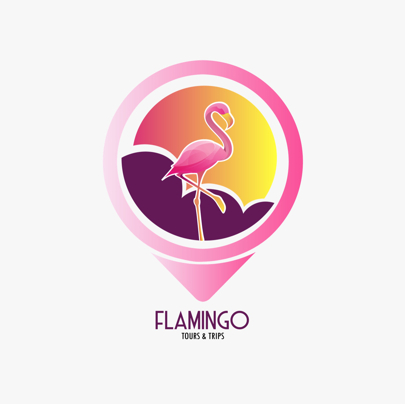 inspiral mindset flamingo